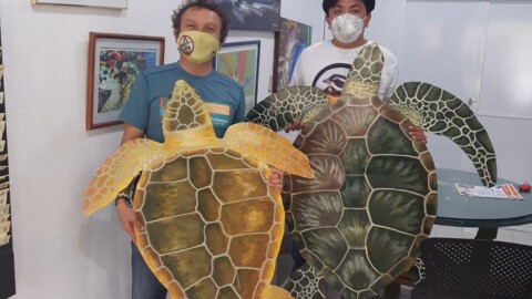 Cozumel Wildlife Saved CEA