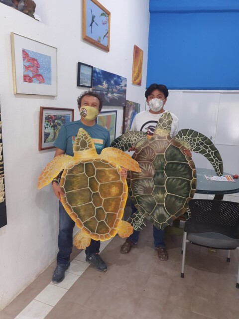 Cozumel Wildlife Saved CEA