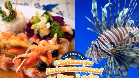 Lionfish Festival Cozumel Moises JH Tono Lopez