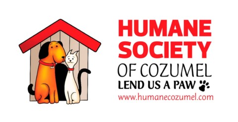 Happy Holidays from the Humane Society of Cozumel Island