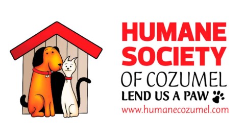 Happy Holidays from the Humane Society of Cozumel Island